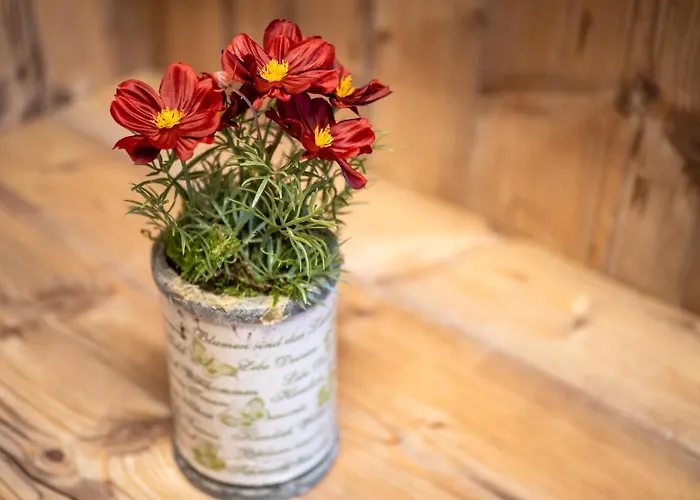 Готель Garni 4*